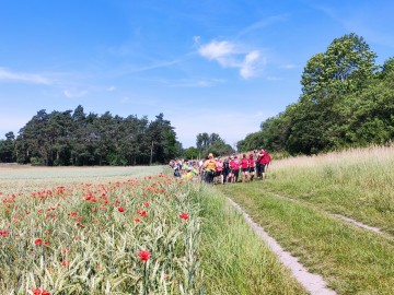 Nordic Walking Strońsko, 